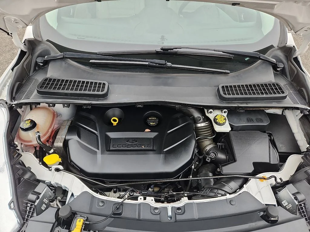 Used 2019 White Ford Titanium image 27