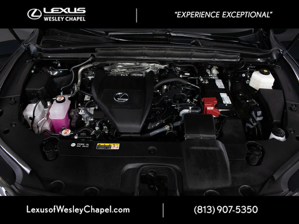 Used 2025 Black Lexus 350 Premium Plus image 10