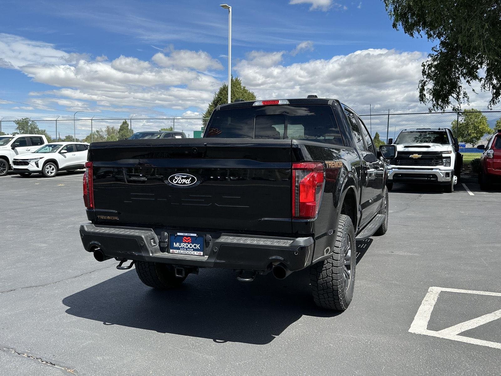 2025 Ford F-150 Tremor - Photo 17
