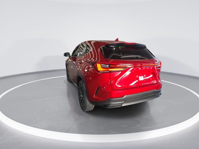 New 2026 Infrared Lexus PREMIUM image 6