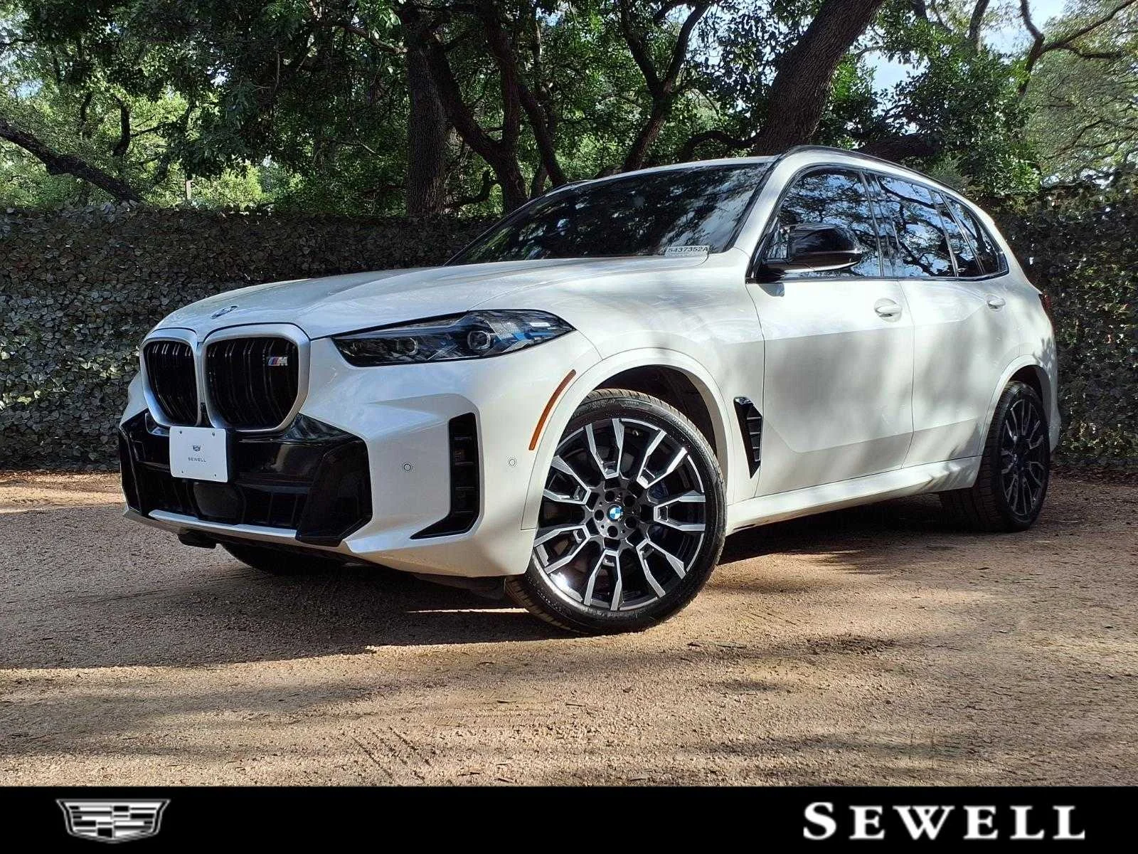2024 BMW X5 M60i's photo
