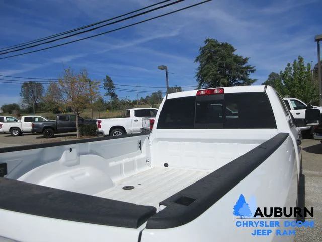 New 2026 Bright White Clear-Coat Exterior Paint RAM TRADESMAN image 5