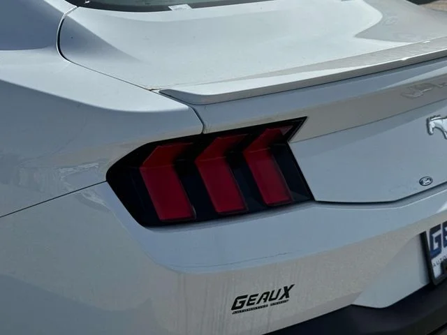 2025 Ford Mustang EcoBoost Premium Fastback - Photo 12