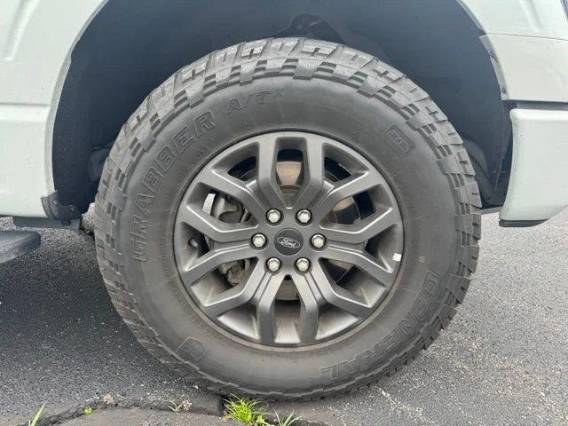 Used 2023 Avalanche Ford Tremor image 9
