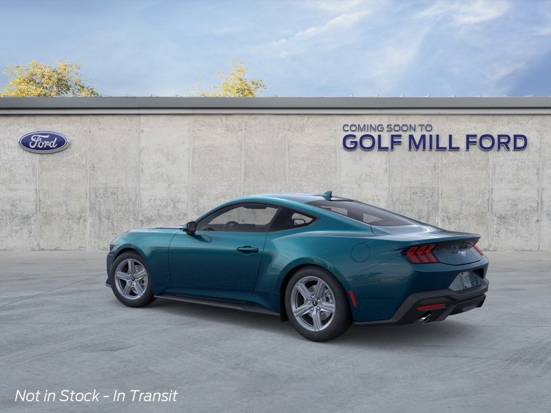 New 2026 Adriatic Blue Metallic Ford EcoBoost image 4