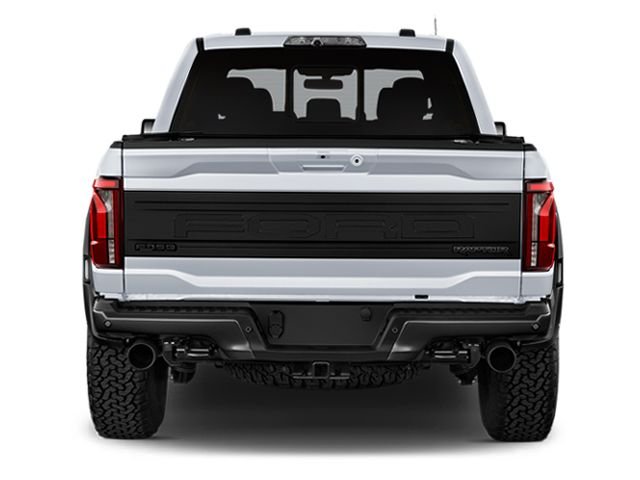 2025 Ford F-150 Raptor - Photo 6