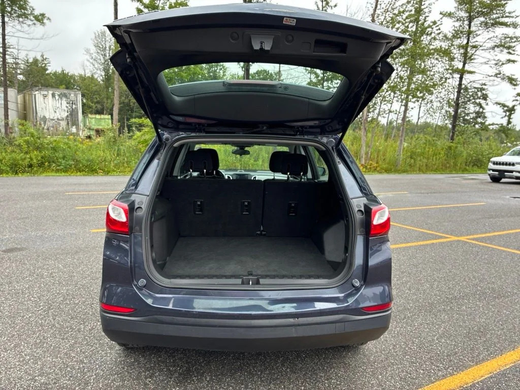 Used 2019 Blue Chevrolet LS image 57