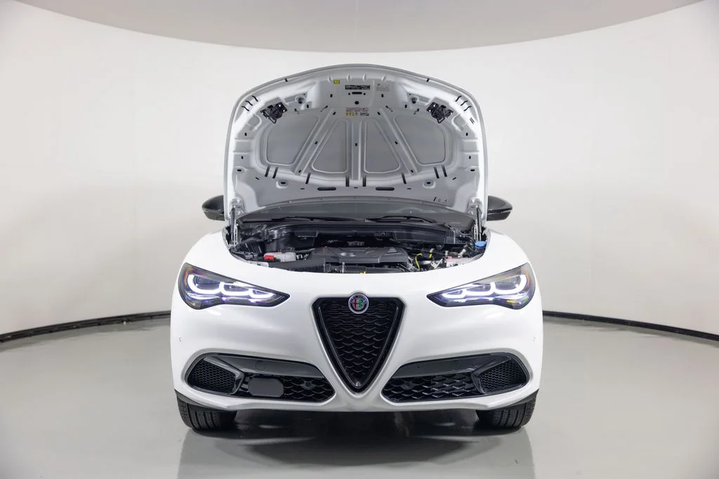 2025 Alfa Romeo Stelvio Base - Photo 7