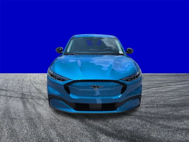 New 2026 Velocity Blue Metallic Ford Premium image 9