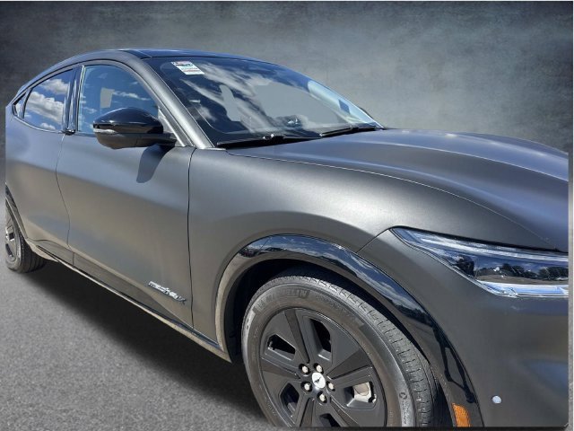 Used 2023 Blue Ford California Route 1 image 3