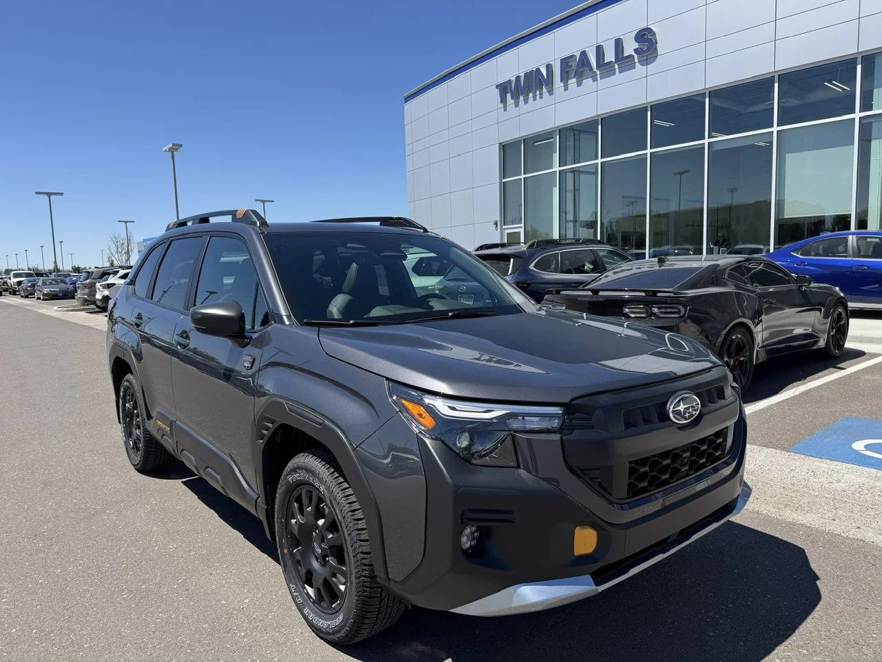 2026 Subaru Forester Wilderness's photo