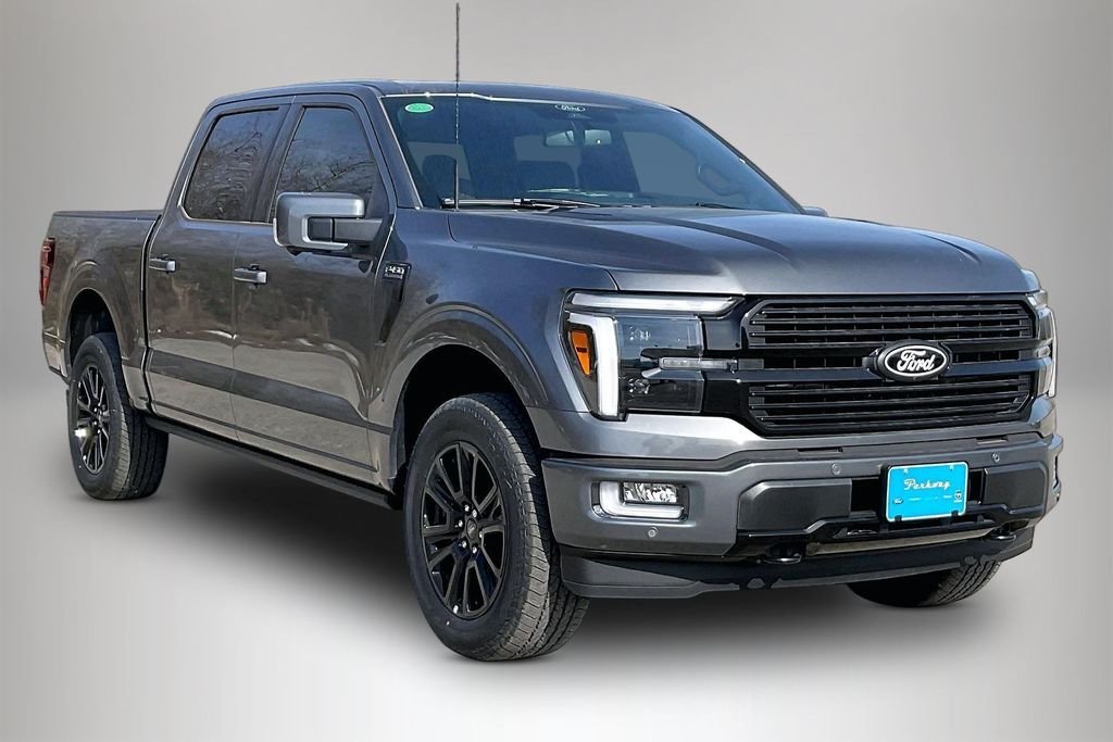New 2025 Carbonized Gray Metallic Ford Platinum image 1