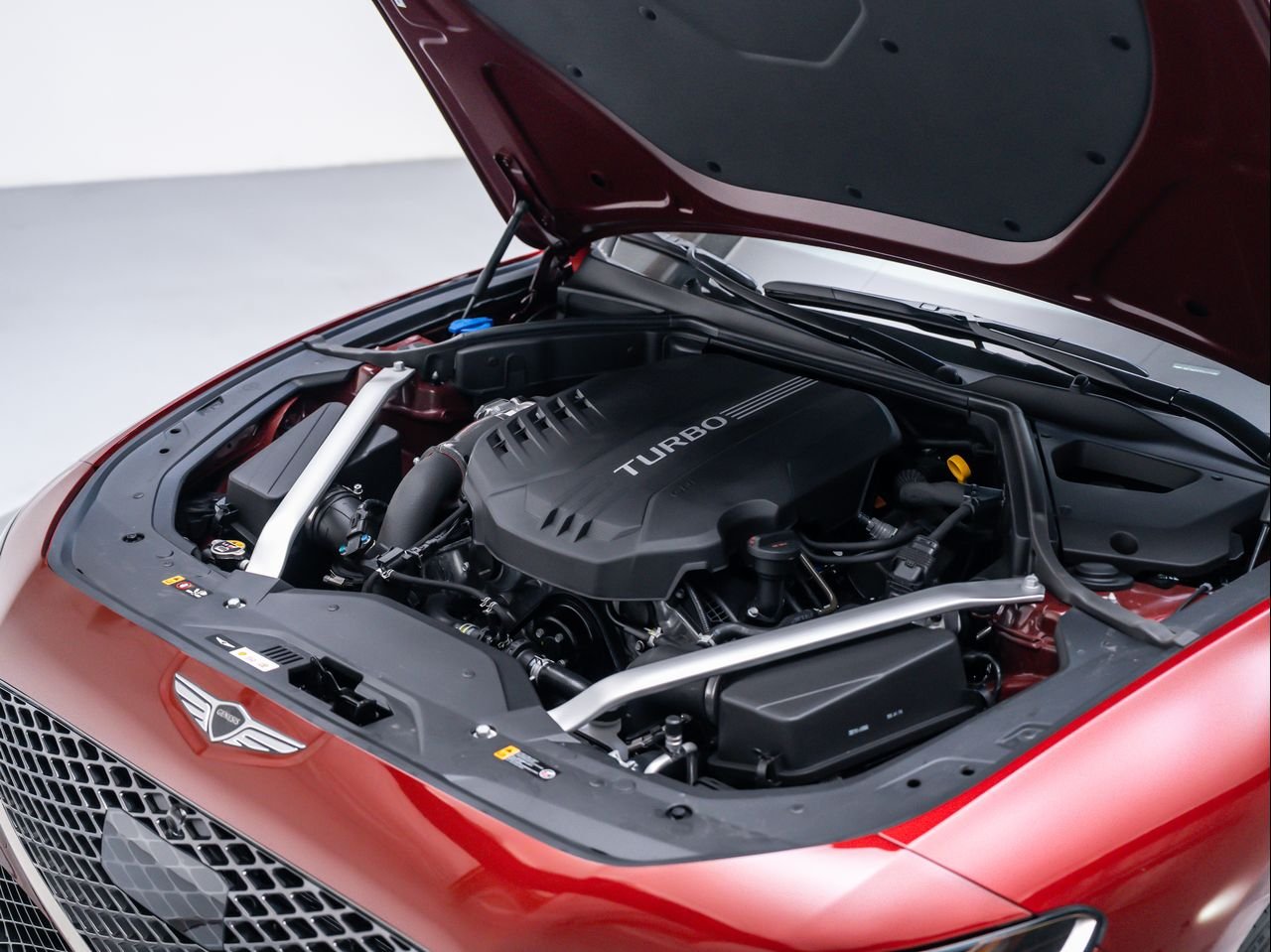New 2026 Cavendish Red Genesis 3.3T SPORT PRESTIGE image 11