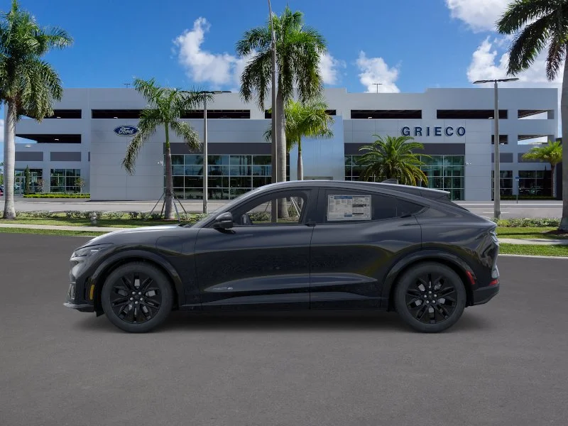 New 2026 Shadow Black Ford Premium image 26