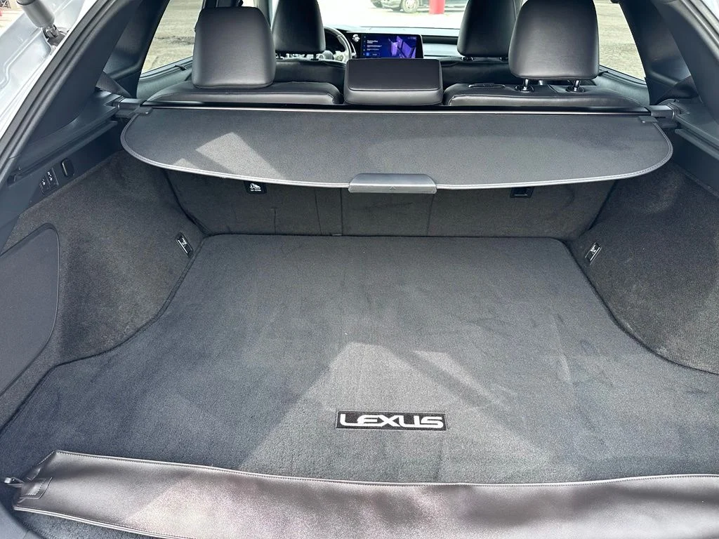 2023 Lexus RX 350 - Photo 30