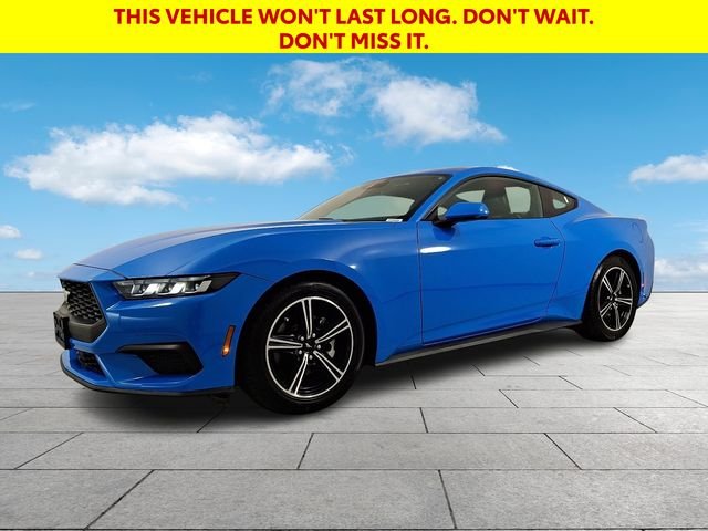 Used 2024 Blue Ford EcoBoost Premium image 4