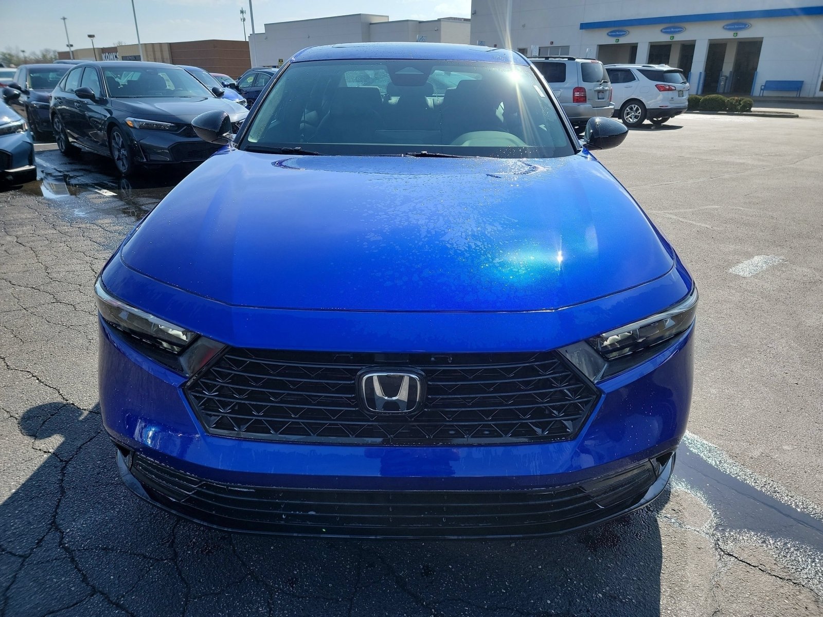 New 2026 Still Night Pearl Honda Sport-L image 2