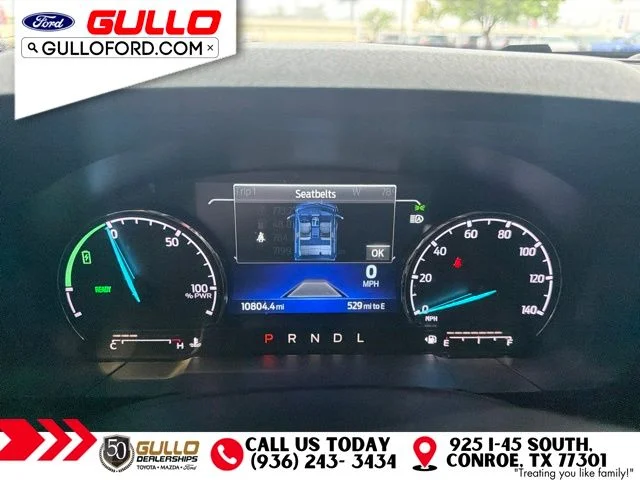 Used 2024 Cactus Green / Gray Ford Lariat image 10