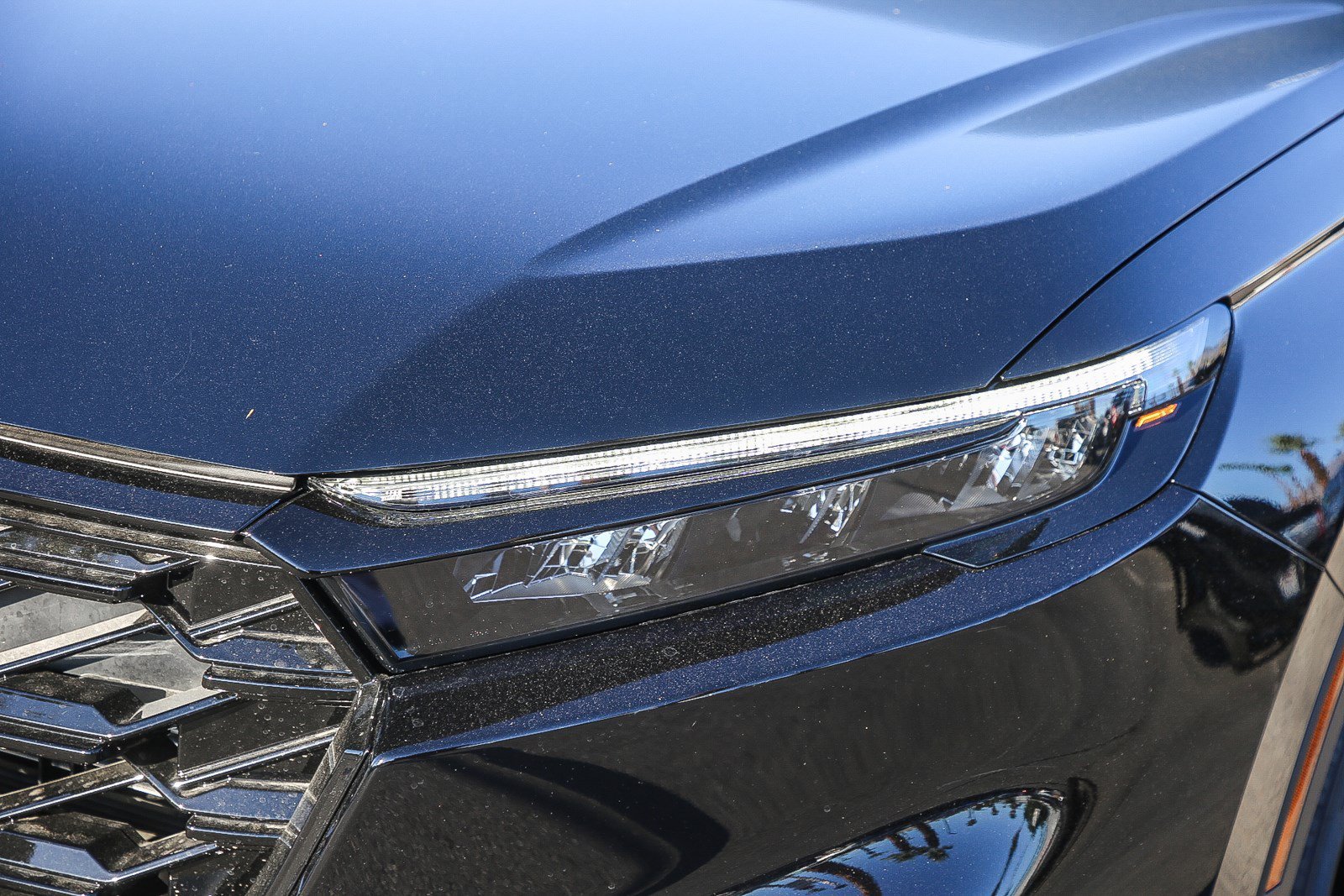 New 2026 Crystal Black Pearl Honda Sport image 8