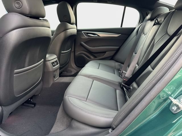 New 2026 Typhoon Metallic Cadillac Premium Luxury image 11