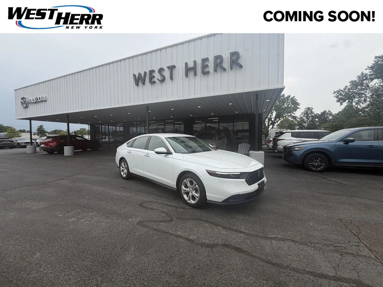 Used 2024 Platinum White Pearl Honda LX image 1