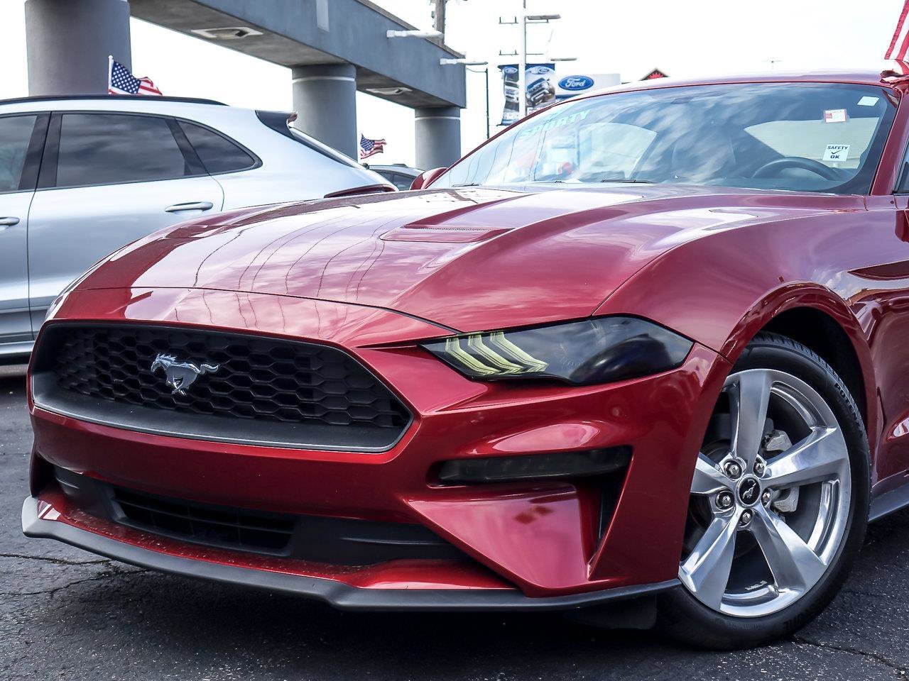 Used 2019 Ruby Red Metallic Tinted Clearcoat Ford EcoBoost Premium image 3