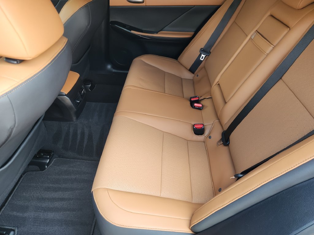 Certified Used 2024 Iridium Lexus 300 image 30