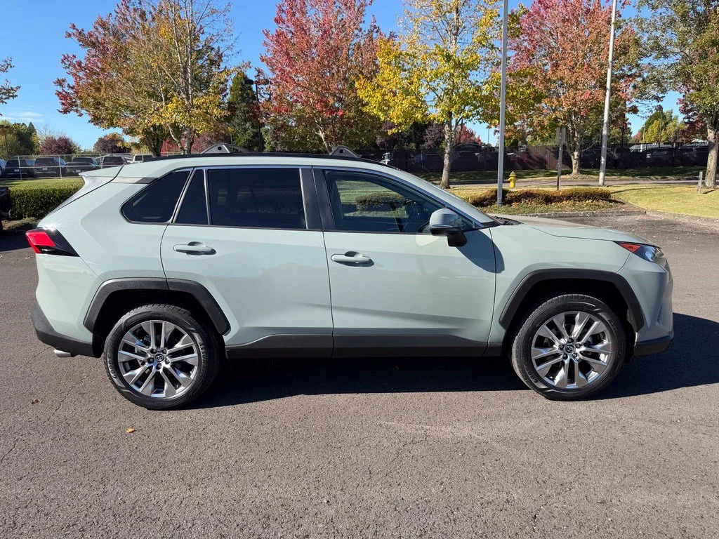 Used 2019 Lunar Toyota XLE Premium image 9