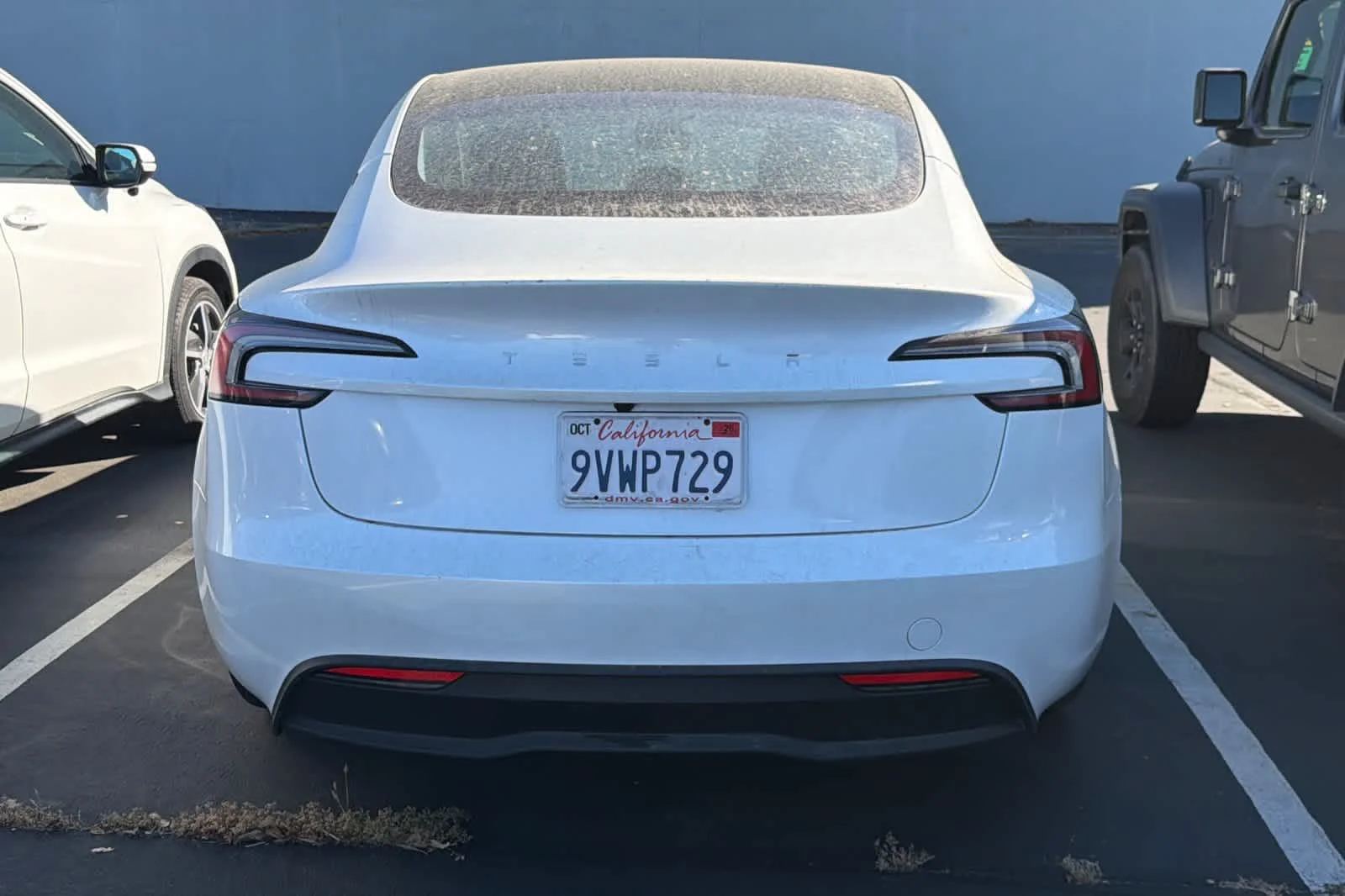 Used 2025  Tesla Long Range image 5