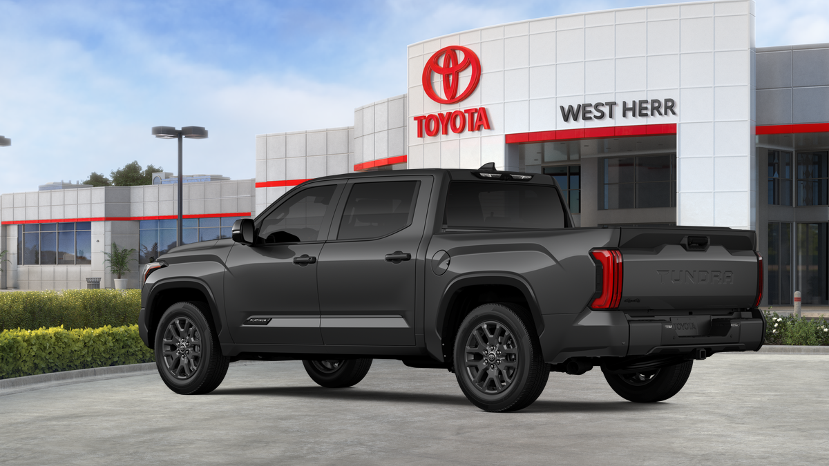 New 2026 Magnetic Gray Metallic Toyota Platinum image 17