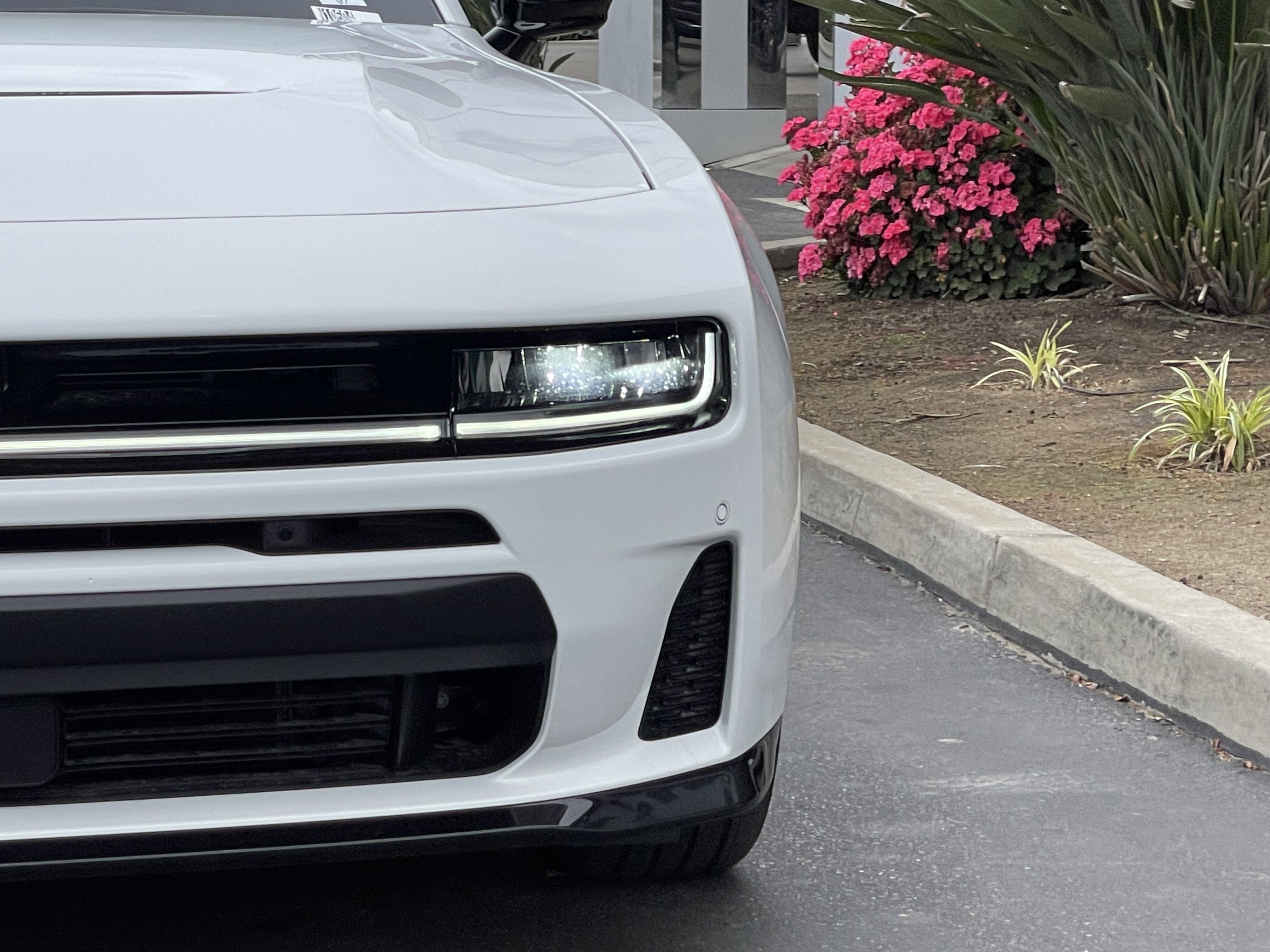 New 2026 White Knuckle Exterior Paint Dodge R/T image 6