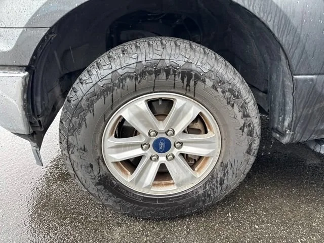 Used 2019 Magnetic Ford XLT image 5