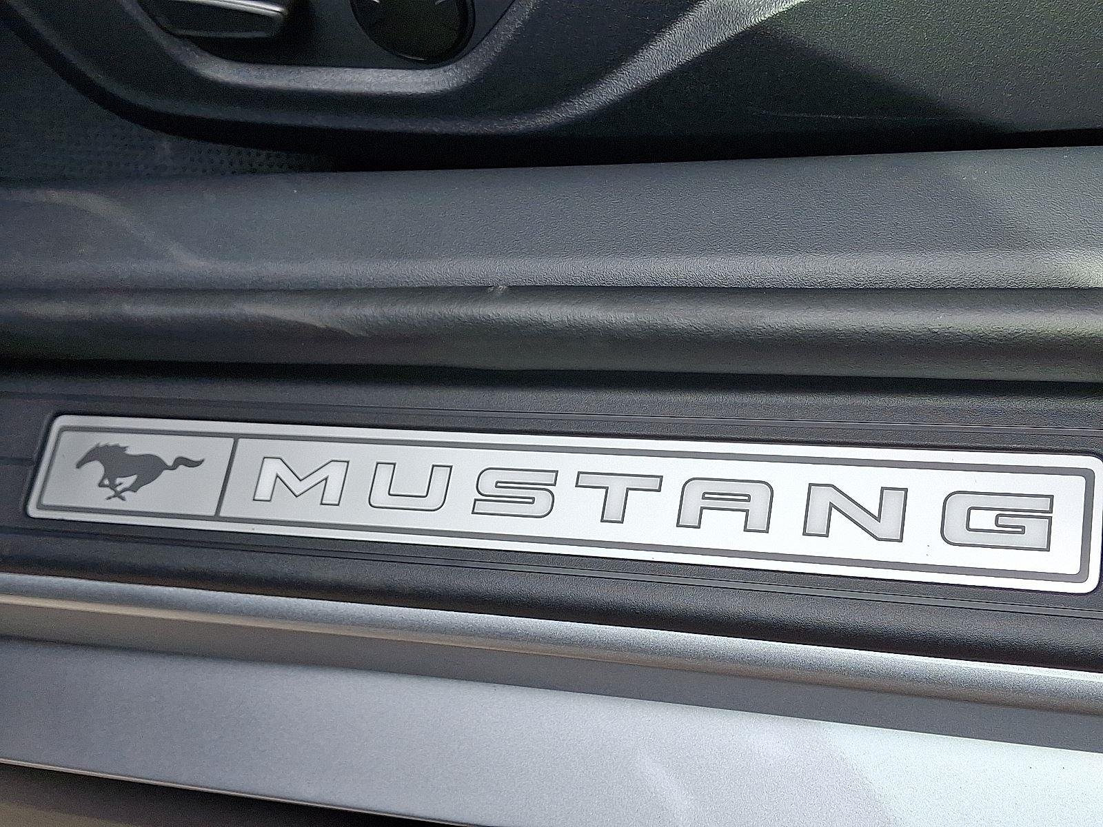 2025 Ford Mustang EcoBoost Premium Fastback - Photo 22