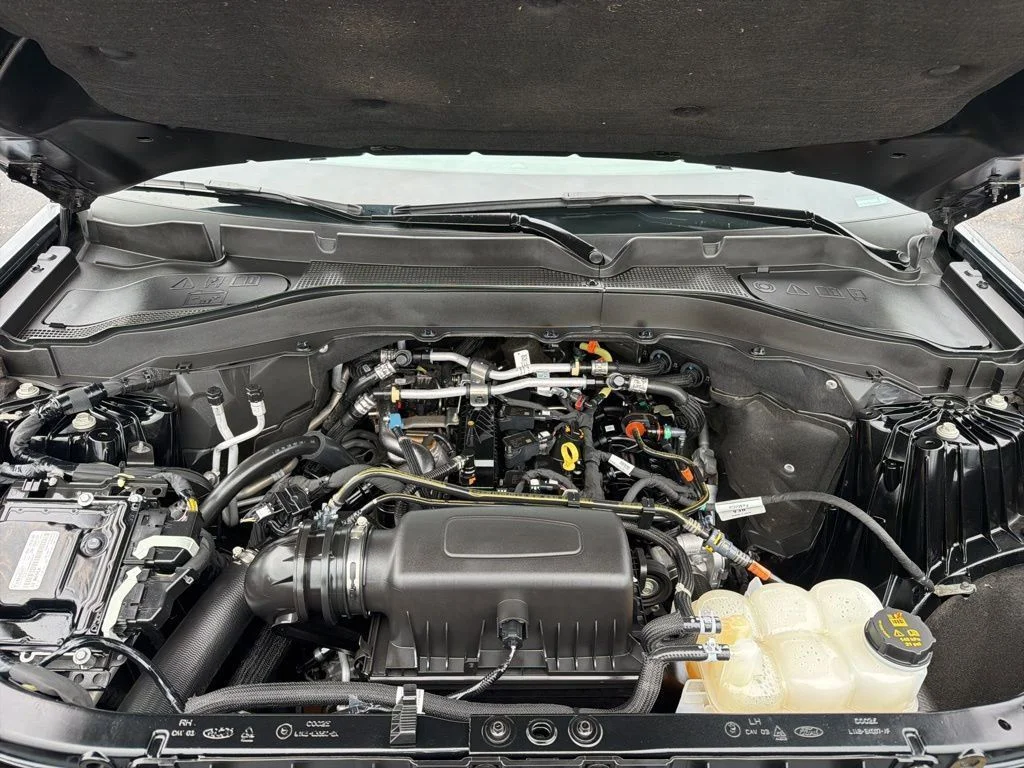 View 32