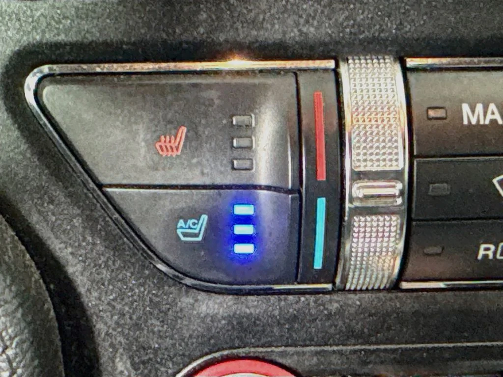 Used 2018 Black Ford GT Premium image 24