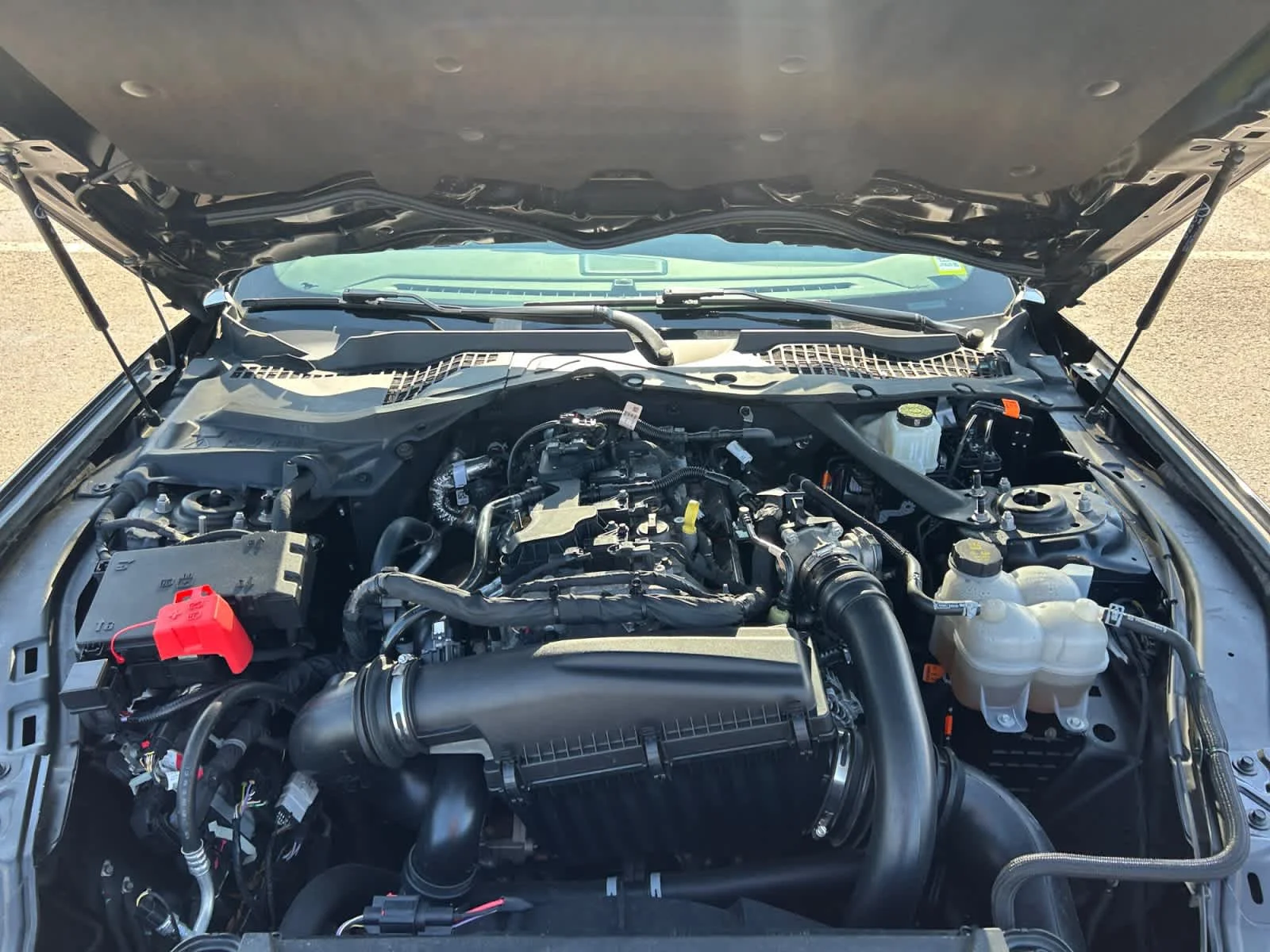 Used 2024 Shadow Black Ford EcoBoost Premium image 24