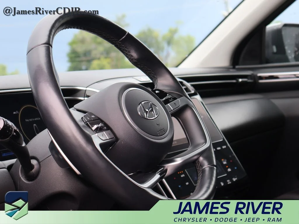 Used 2024 Silver Hyundai Limited image 25