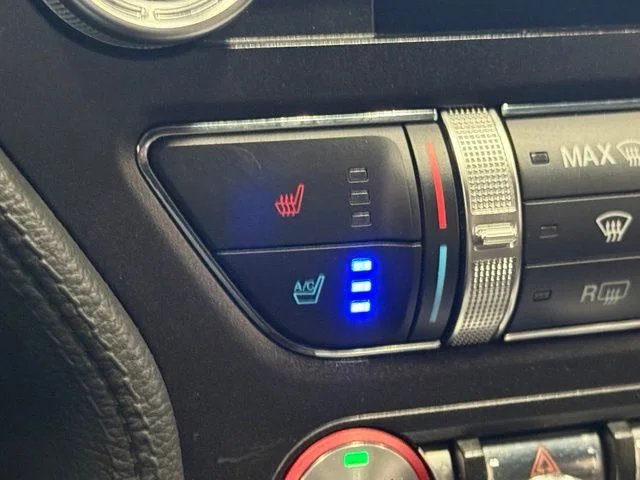 Used 2019 Green Ford Bullitt image 31