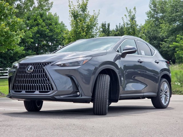New 2026 Cloudburst Gray Lexus PREMIUM image 30
