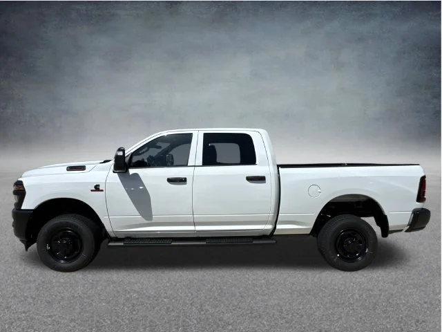 New 2027 Bright White Clear-Coat Exterior Paint RAM Tradesman image 6
