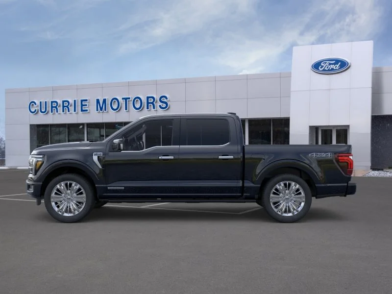 New 2026 Agate Black Metallic Ford Platinum image 25