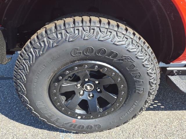 New 2026 Oxford White Ford Stroppe Edition image 23