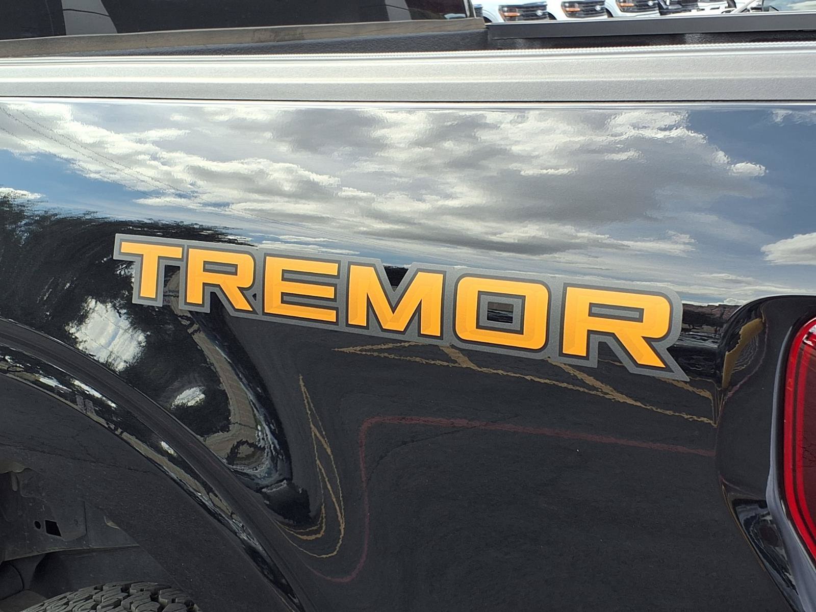 Used 2025 Black Ford Tremor image 10