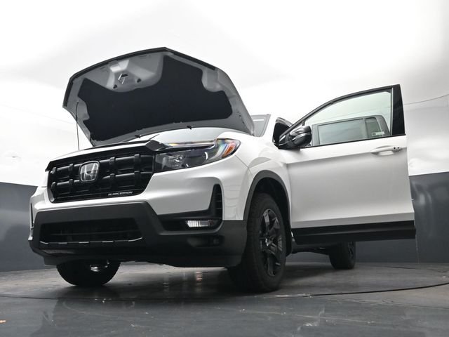 New 2026 Platinum White Pearl Honda Black Edition image 39