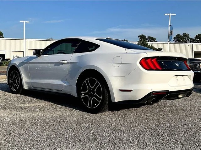 Used 2019 White Ford EcoBoost image 6