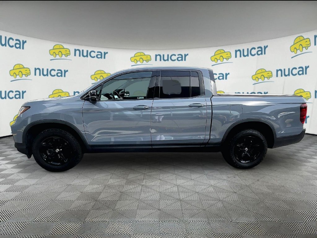 Used 2023 Gray Honda Black Edition image 4