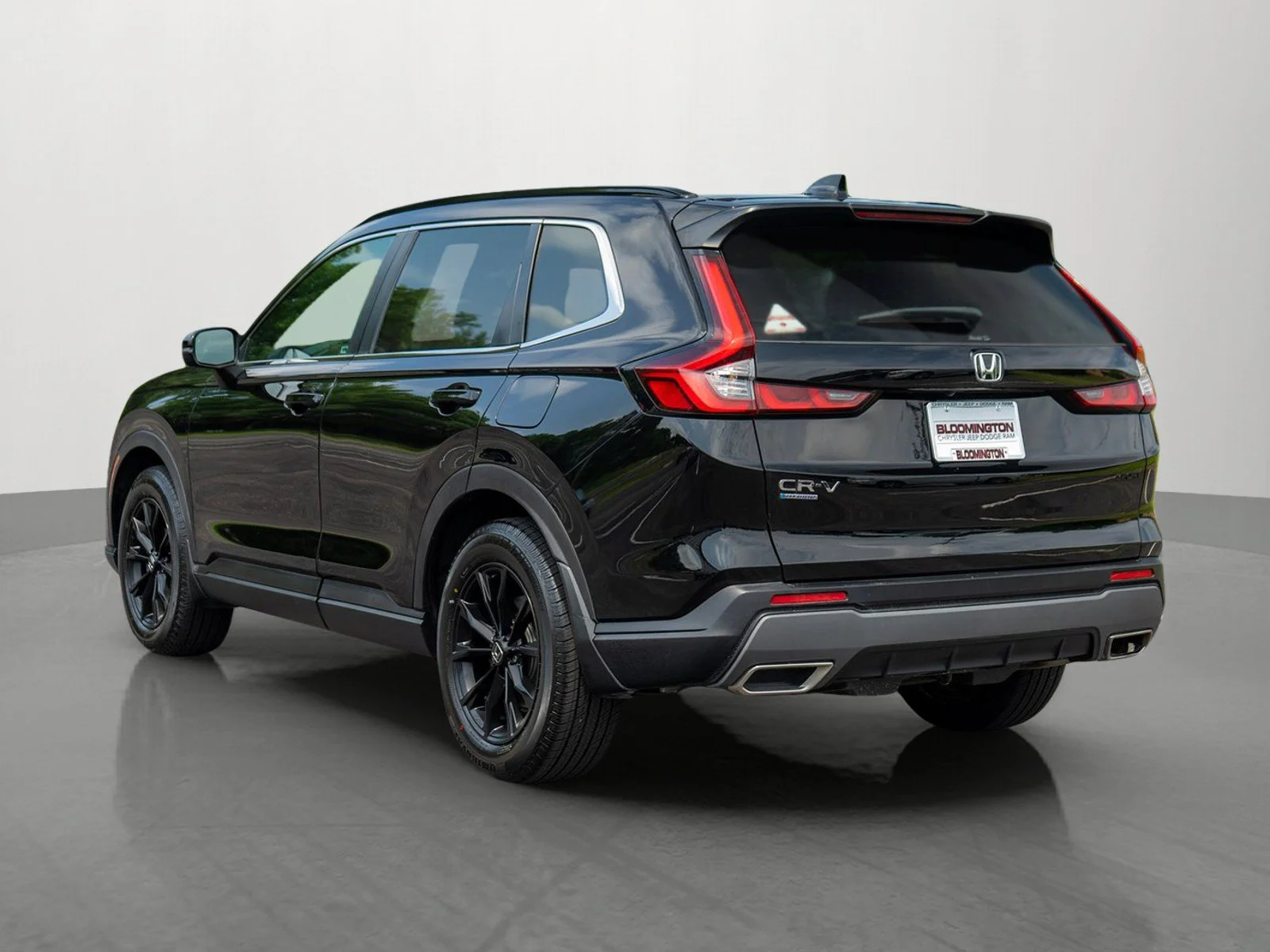 Photo 5