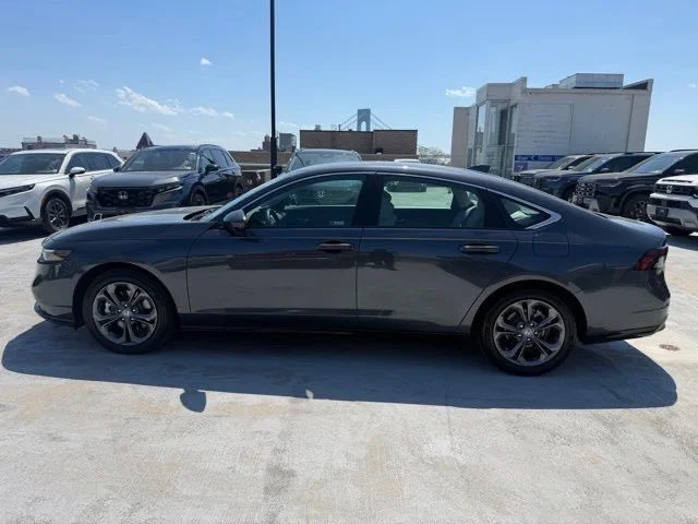 Used 2023 Gray Honda EX-L image 4