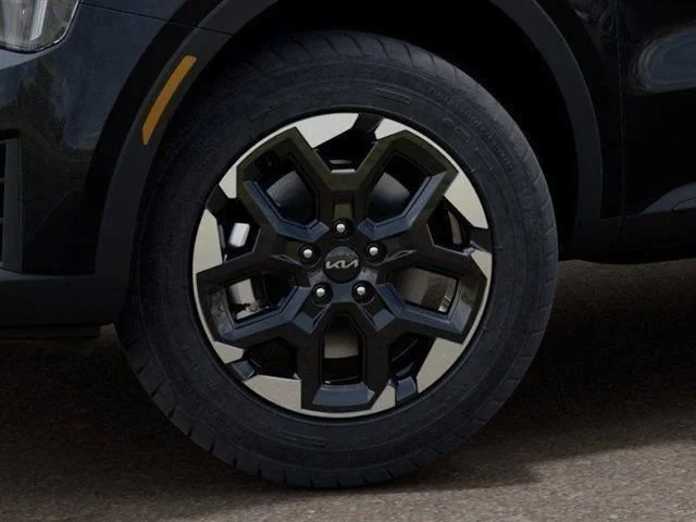 New 2026 Panthera Metal Kia S image 9