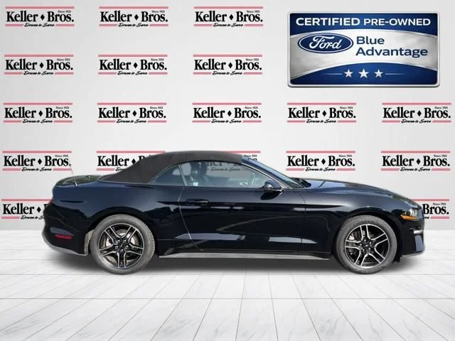 Certified Used 2019 Black Ford EcoBoost Premium image 8